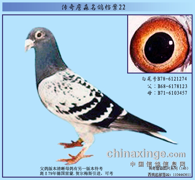 �ض�÷˹�ؽ����15�ιھ�ղɭ��