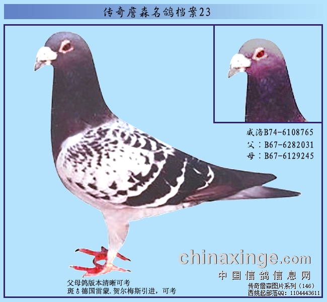 һ������ ���������������