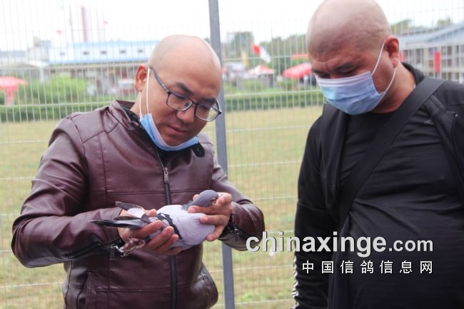 ����������һ�꣺������������̽��8847��