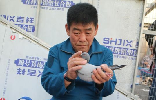 ����̽�뿴������˵��ɶ