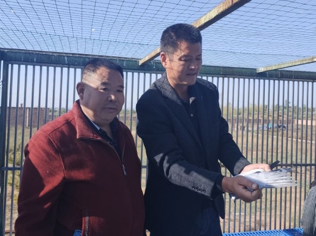 ̽��������������Ӯ�����Խʽ��չ��