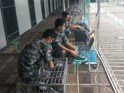 ɨ��ϵͳ��©����