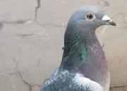 ������������ ���ɴ��˸�ȫ�׵�һ