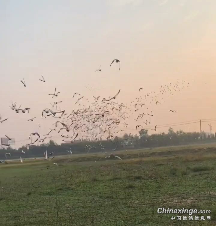 Ϊɶ�ֳ��ִ�������룿