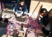 ̽��֮�� �ڴ�������С��