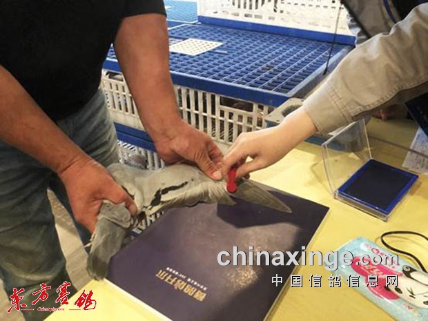 �������ֲ�����500����Ժ������ǰ11��