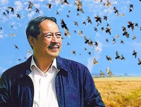 �������  ������-�ú��𣨻��ң����³������