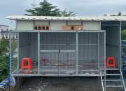 ���Ʒ��� Ư��Ư������˵����