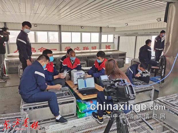 ·�߷羰�Ҳ��� �����Ƽ��Ѽһ�