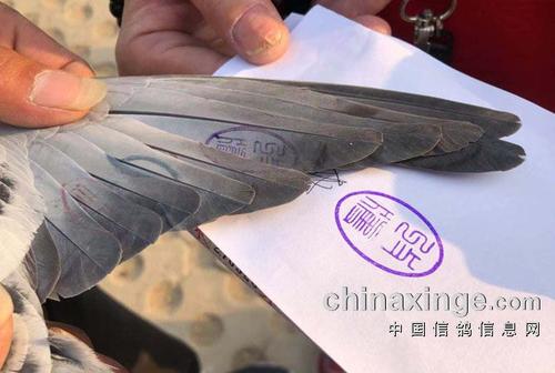 ��������������ʧ��