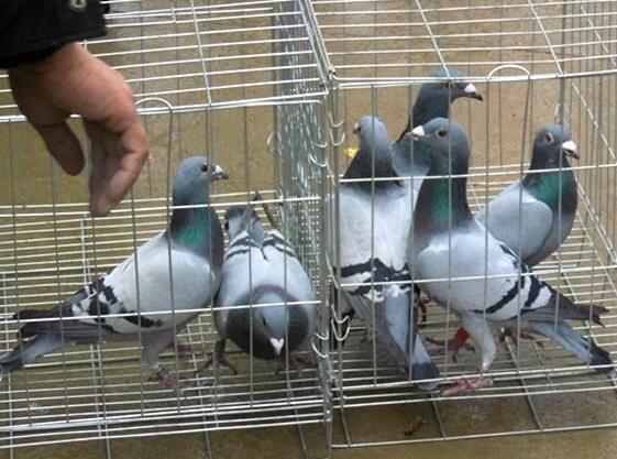 ���������