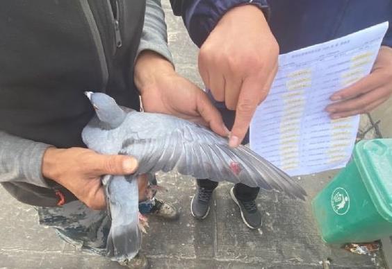 ��ʤ����  ֣�ݿ�Դ�ڶ���510����ȫ��¼