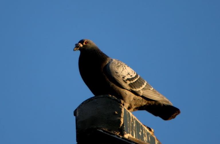 ӵ�кø��Ӳ�������