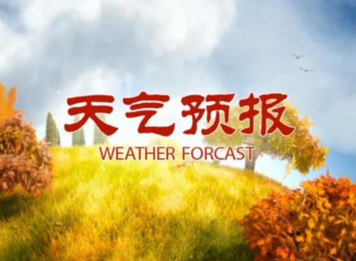 ���鳲���������ã�