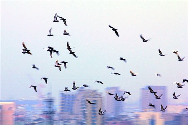 ��������վ��λ�ţ�