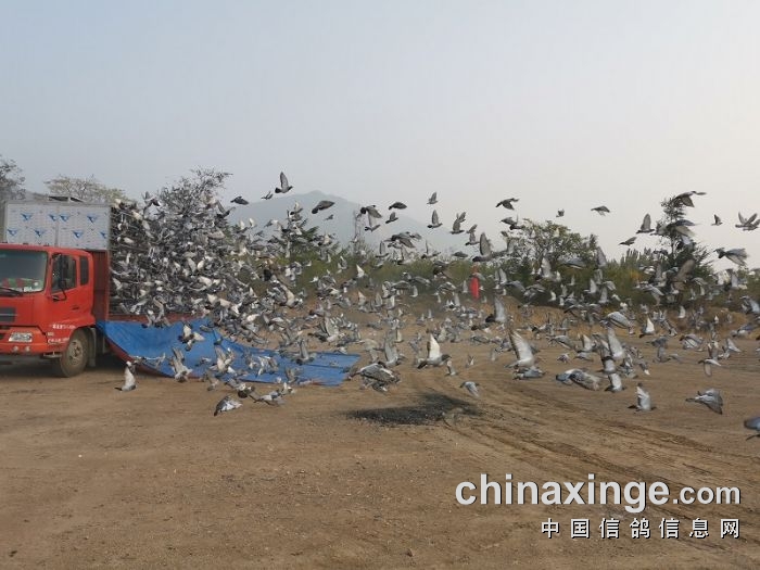 ���֮�����չأ��������������һ�ر�����ʵ��