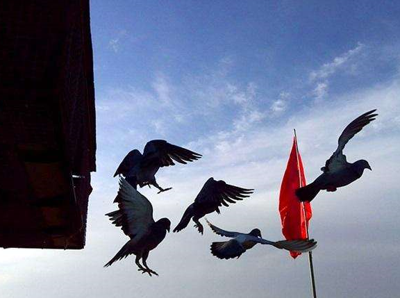 ���ҷ�Ҳ�ܽ�ǰʮ��