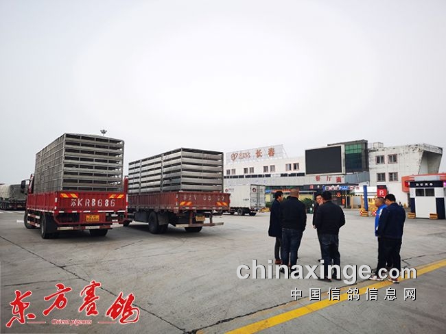 ƽ������������ǿ�Ƹ���ǿ�ƶ��