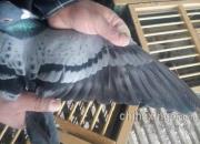 ������ü����̽�Ӽ�