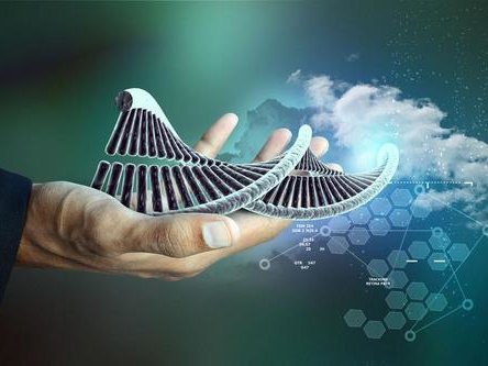 �����Ÿ��Ŵ����Թ��� ��ȫ��������