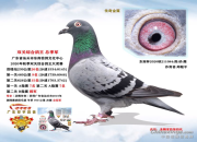 �ҼҸ��ӽ����ˣ�˫�ظ�������