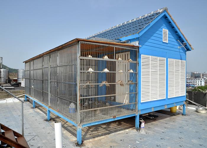 �Ӹ������̸��ʤ����