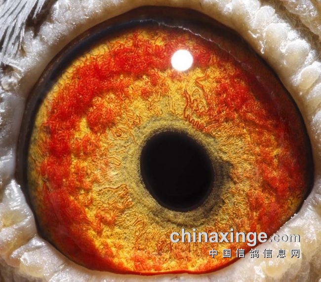 ������ʵ���ܿ�ѧ���� ���˻�������ھ�