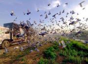 Ц������������С��