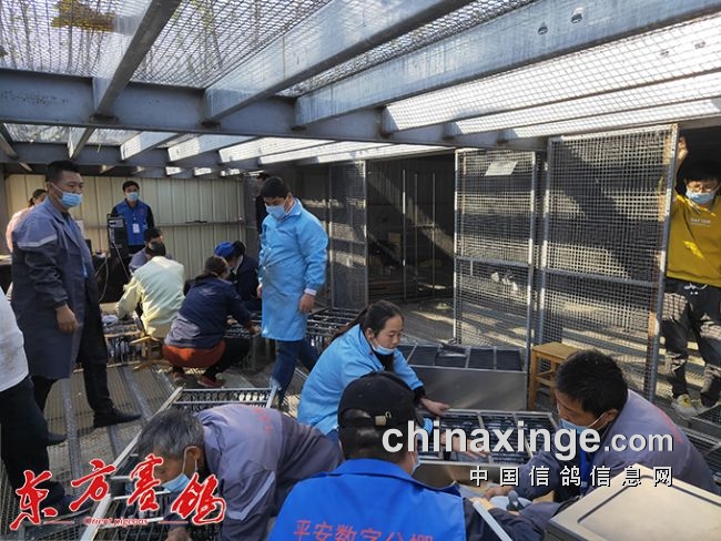 ����ƽ�����ֹ���420����Ԥ����������