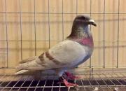 ��������������������Ҵ�ҵľ���