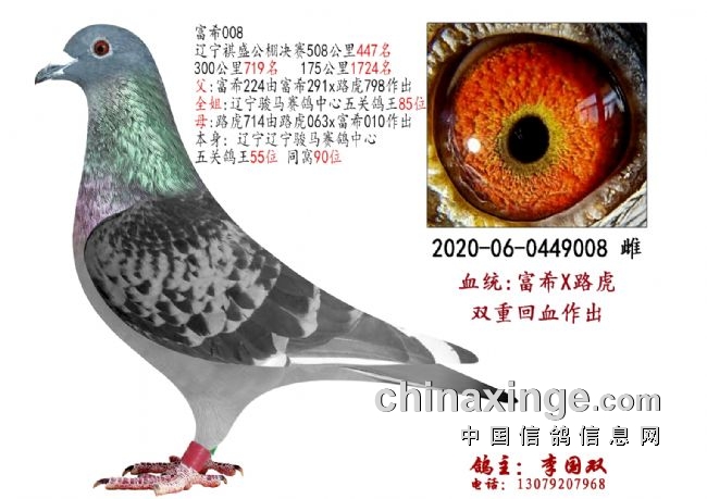 �������ͣ�˫�ػ�Ѫ�����Ĺ���447��