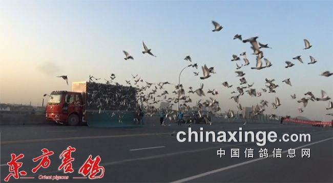 ���߷羰�续 ������������