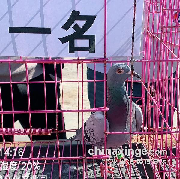 ���Ӻ�㣬������������������ʡ��Ƽ�¼�ı���