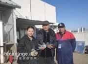 �������ָ�����������־ǿ