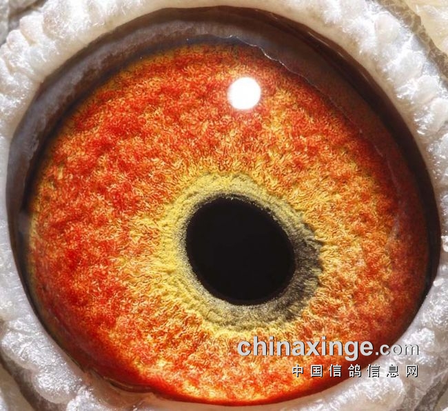 �������깫��������ݷ�����ͼ��