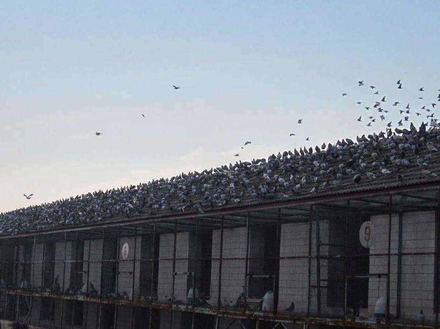 д�ڹ�������󣺹��ﱻ�ڣ�������������Ӳ