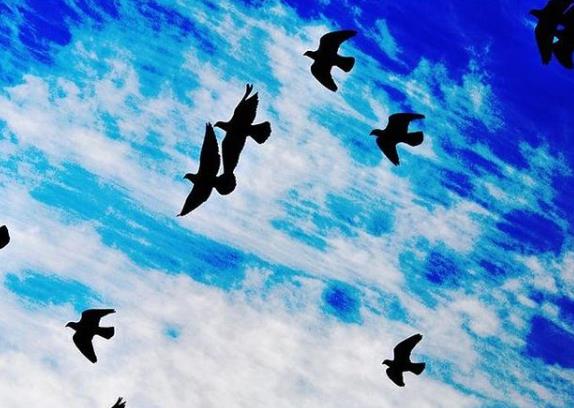 ����������ûǰ;��