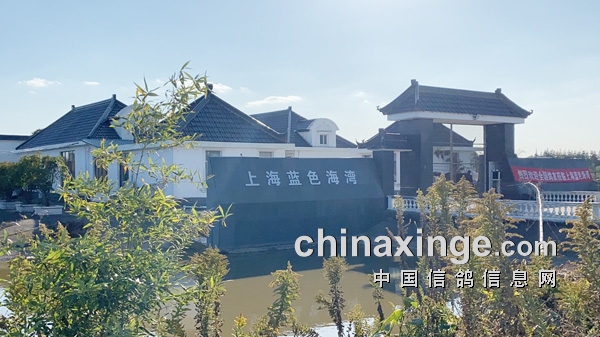 �۱�ǿ˧ ǧ���� �Ϻ���ɫ�����������������