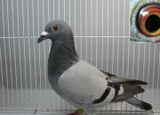 �������� ������˽���֧Ԯ������