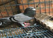 ʱ������ �ٴμ�¼����·