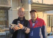 �������������־ǿ������ɫ����3337