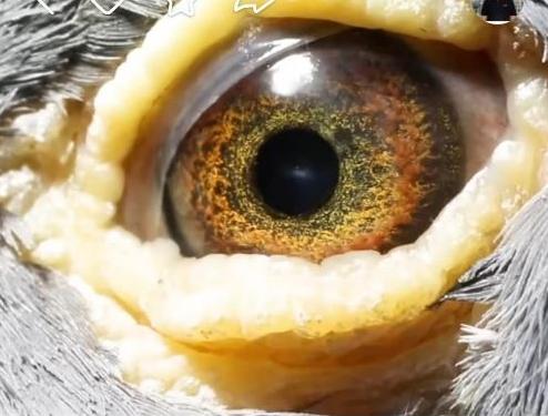 ���۵İ��أ���Щ������ĺø��ۣ�