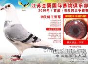 ����������� ���������������Ǿ�