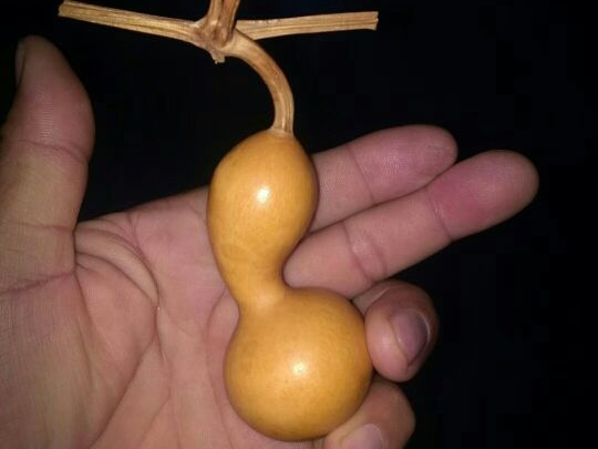 ��̸���������ø�