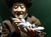 ����Ժ��ʦ��Ҳ���� ���庮���͸����