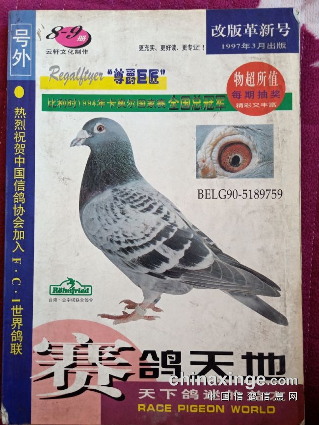 ��������������.��������̸���������