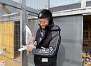 ���ɹŰ�������Ⱥ������