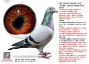 ���һ��Ѫ ��ŷ���ͻ��������˰���