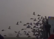 �����������鳲�ҵ� ���ﲹ��������һ��