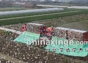�鳲��99% �Ϻ���Դ����100�����շ�վ���ɹ���